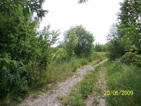 Foto 9